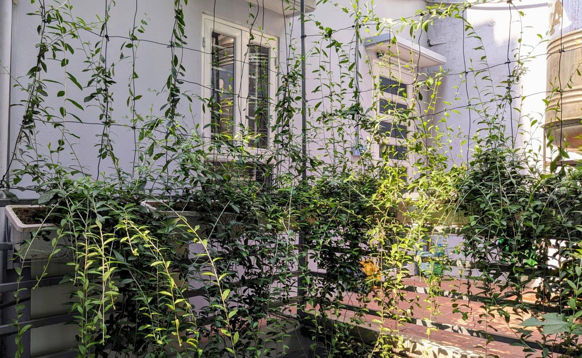 Goc Nho Ha Noi Homestay Hanoi Buitenkant foto